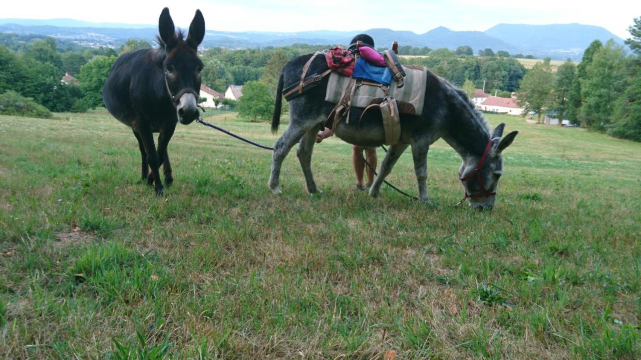 Roulotte Le Temps De Rever Bed and Breakfast Saint-Michel-sur-Meurthe Buitenkant foto