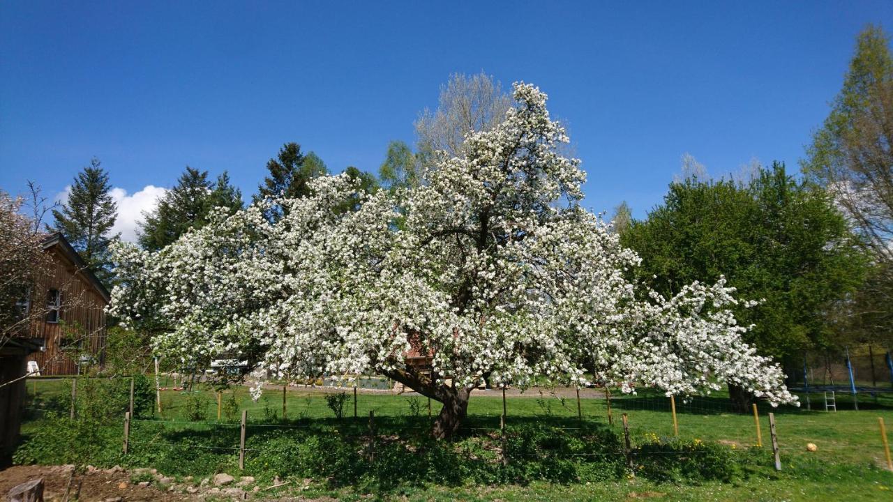 Roulotte Le Temps De Rever Bed and Breakfast Saint-Michel-sur-Meurthe Buitenkant foto