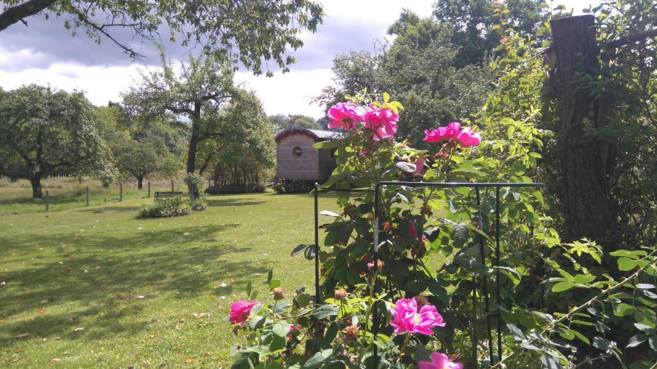 Roulotte Le Temps De Rever Bed and Breakfast Saint-Michel-sur-Meurthe Buitenkant foto