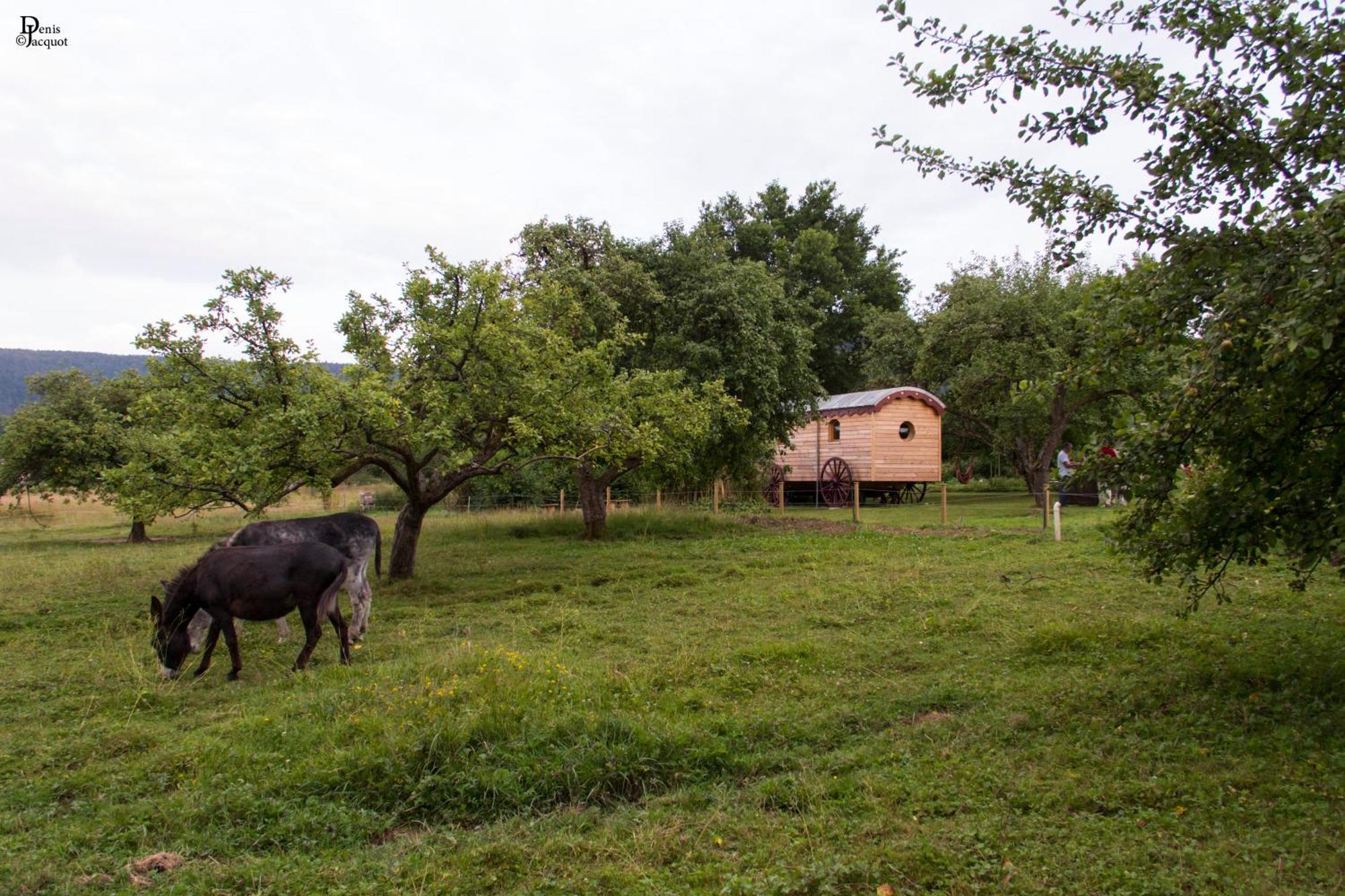 Roulotte Le Temps De Rever Bed and Breakfast Saint-Michel-sur-Meurthe Buitenkant foto